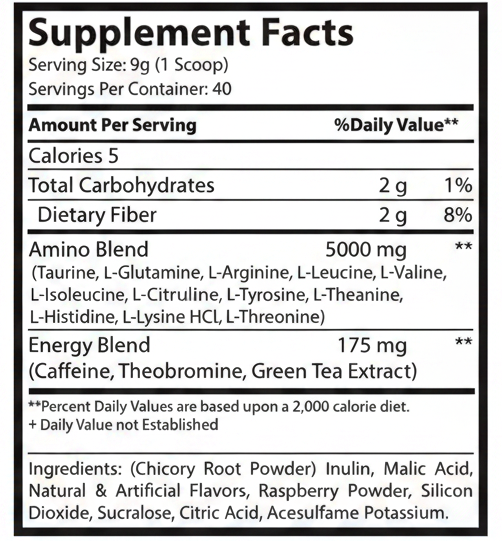 Energized Aminos Raspberry Iced Tea 360g – 40 serv